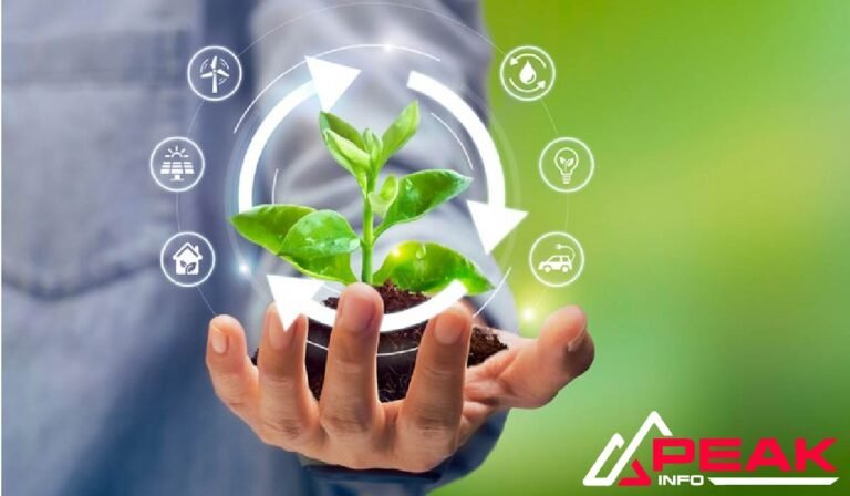 Jecizer Biosciences: Pioneering Sustainable Solutions in Biotechnology